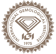 IGI Logo